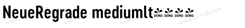 NeueRegrade mediumlt字体转换